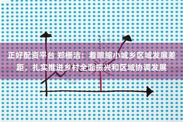 正好配资平台 郑栅洁：着眼缩小城乡区域发展差距，扎实推进乡村全面振兴和区域协调发展